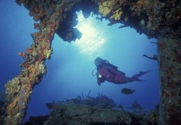 SCUBA Diving in the BVI