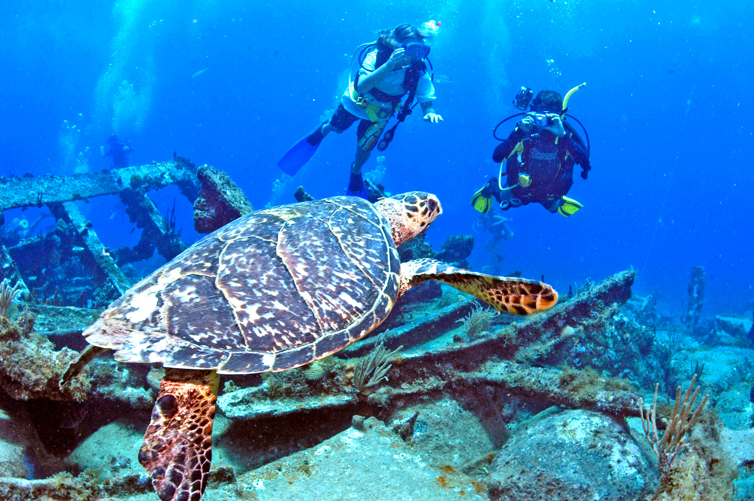 Diving BVI